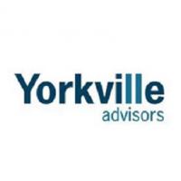 yorkvilleadvisors