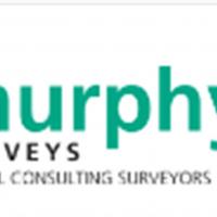 consultantsurveyors5