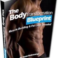 Bodytransformation