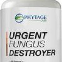 Urgentfungusdes
