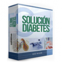 Diabetestipo2book