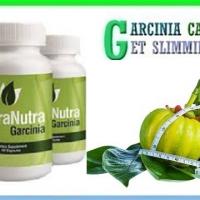 garcinia098