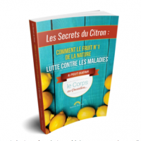Lessecretscitron