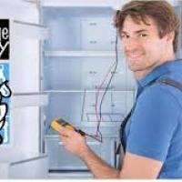 thefridgeguy