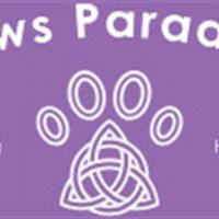doggydaycare53
