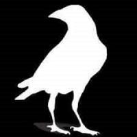 whitecrowmarketing