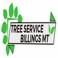 billingstreepros