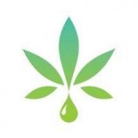 topcannabisstocks