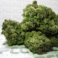 Weedshop