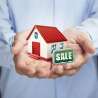 patmooneyrealestate