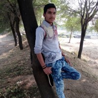 GopalTrivedi773