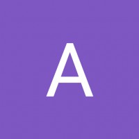 AnnaSanders3553