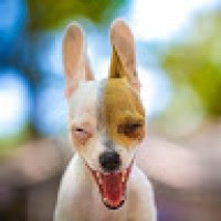 FunnyCompilation8809
