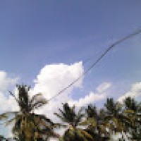 DineshA5004