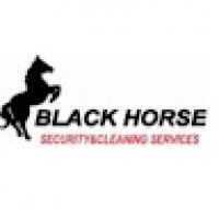 Blackhorsesecurity6249
