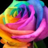 usmanmunir5012