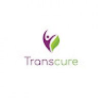 backlinktranscure4212