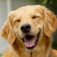 วาสนามงคลยุทธ4627