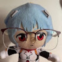 NilsonTorresVargas508