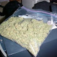 DesmondScotic(Cannabisking420)3497