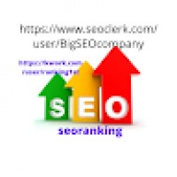 rankingseo6564