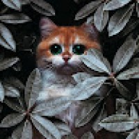 BRAYANJESUSARAUJOVEGA1289