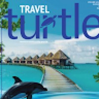 TravelTurtle7561