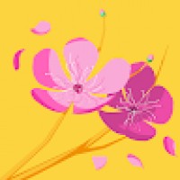 TrangNguyễn8132
