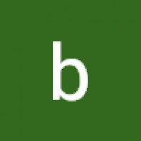 bigBear3528